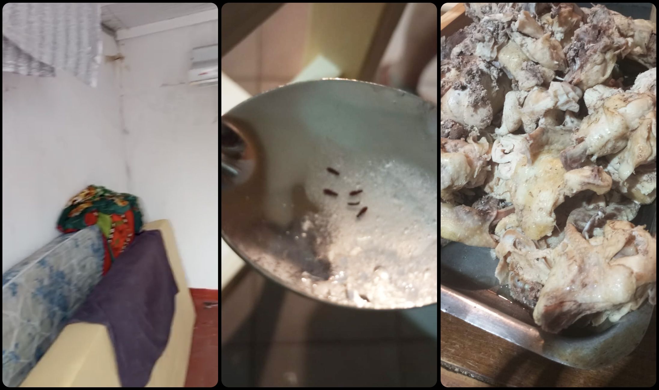 阿根廷足球梦想工厂:青训体系背后的残酷真相